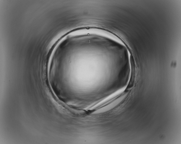 X0000111231101200907231458