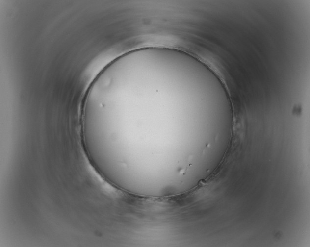 X0000111231103200907231458
