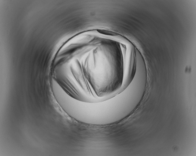 X0000111231104200907231458