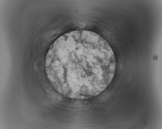 X0000111231105200907231458