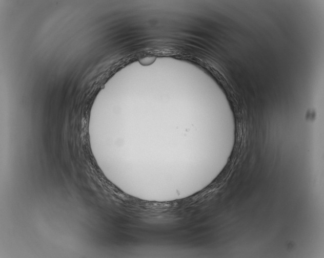 X0000111231111200907231458