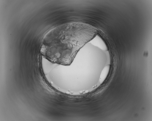 X0000111231113200907231458