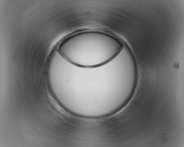 X0000111231114200907231458