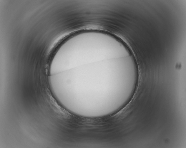 X0000111231115200907231458