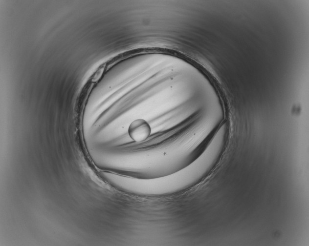X0000111231116200907231458