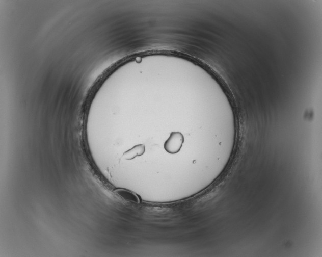 X0000111231119200907231458