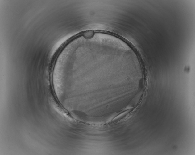 X0000111231120200907231458