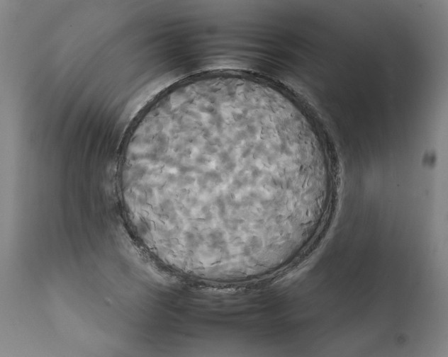 X0000111231121200907231458