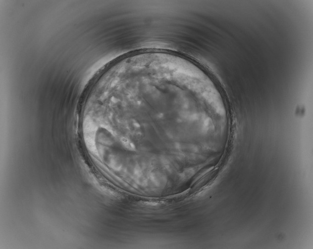 X0000111231125200907231458