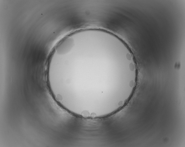 X0000111231126200907231458