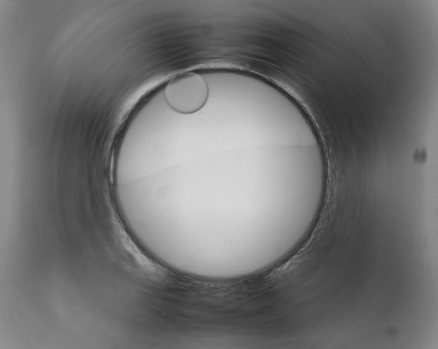 X0000111231127200907231458