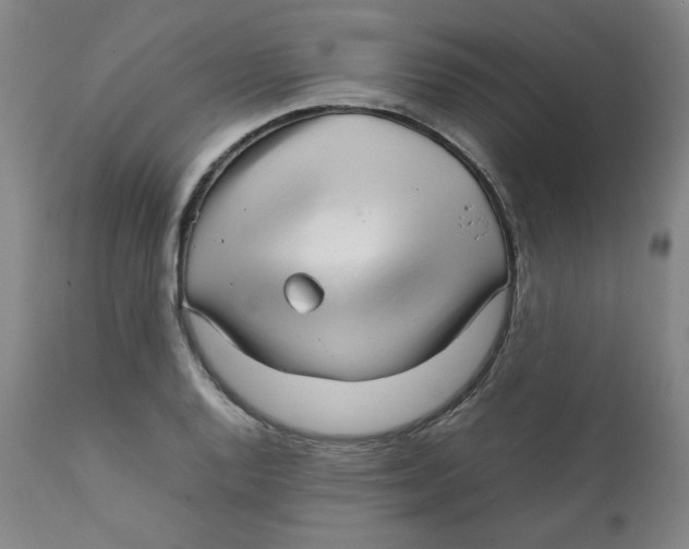 X0000111231128200907231458