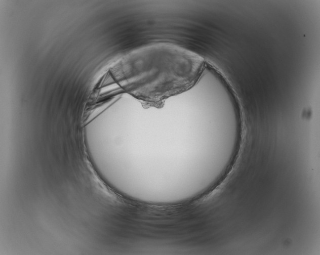 X0000111231129200907231458