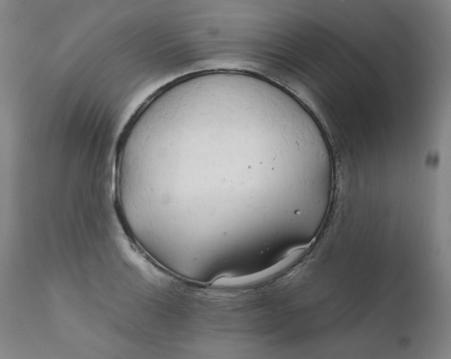 X0000111231132200907231458