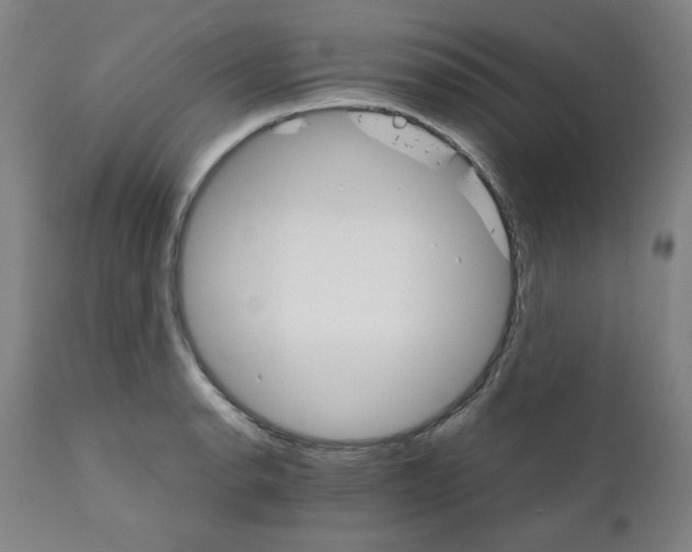 X0000111231134200907231458