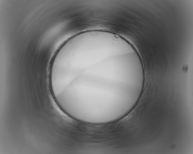 X0000111231135200907231458