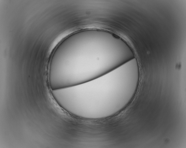 X0000111231138200907231458