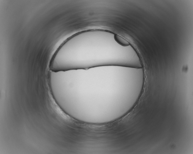 X0000111231140200907231458