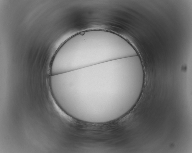 X0000111231143200907231458