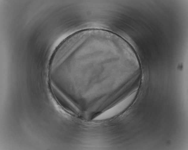 X0000111231144200907231458