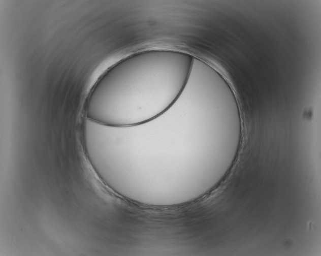 X0000111231146200907231458