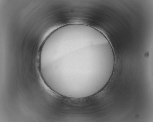 X0000111231147200907231458