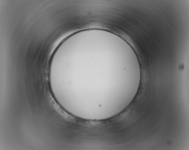 X0000111231148200907231458