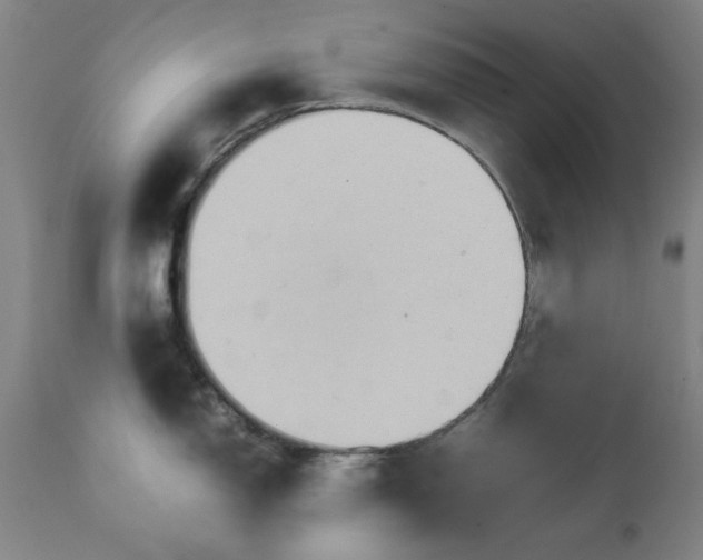 X0000111231150200907231458