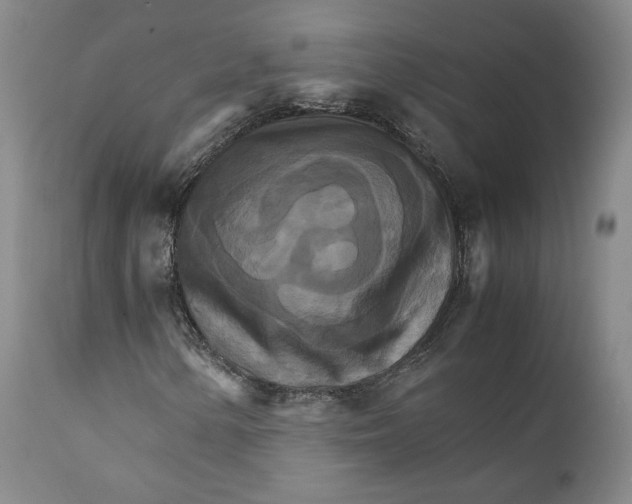 X0000111231154200907231458