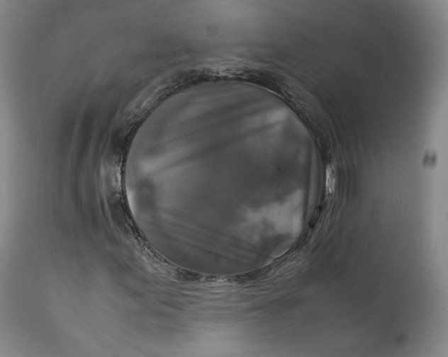 X0000111231155200907231458
