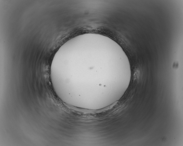 X0000111231156200907231458