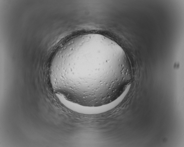 X0000111231157200907231458