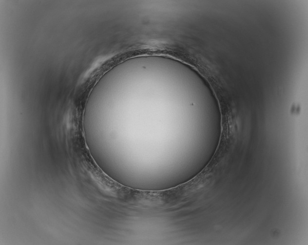 X0000111231158200907231457
