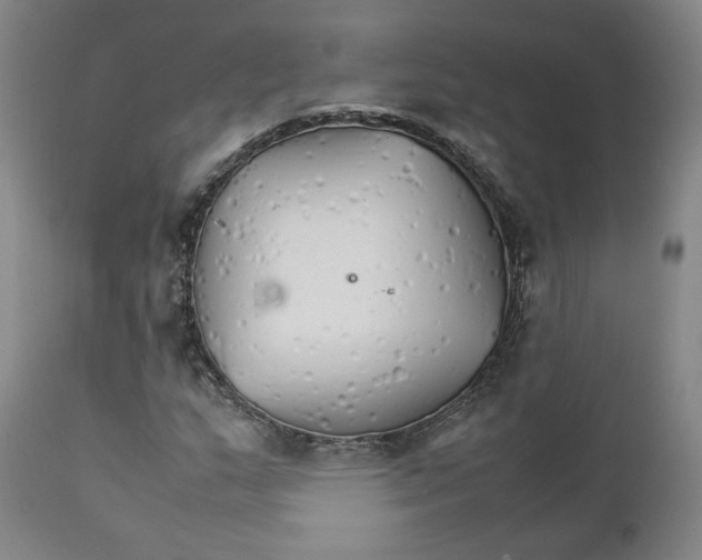 X0000111231159200907231457