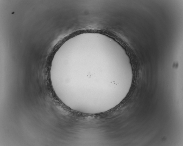 X0000111231160200907231457