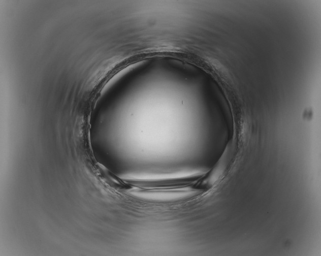 X0000111231161200907231457