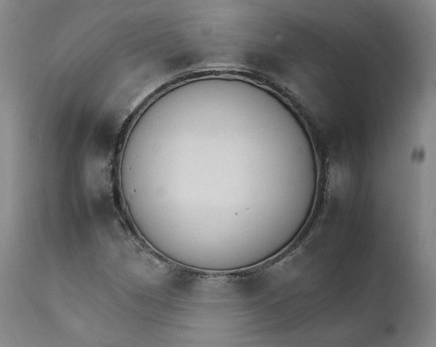 X0000111231162200907231457