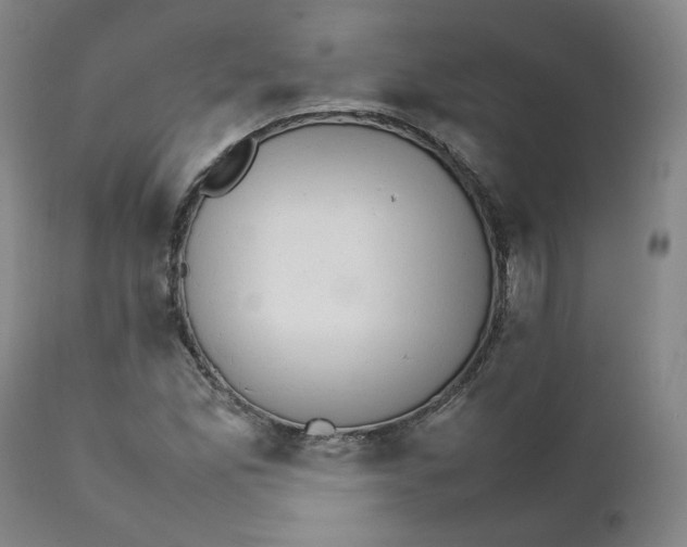 X0000111231165200907231457