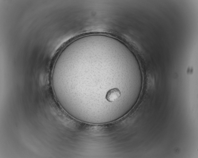 X0000111231166200907231457