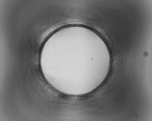 X0000111231167200907231457