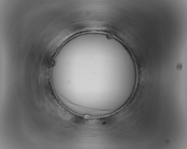 X0000111231169200907231457