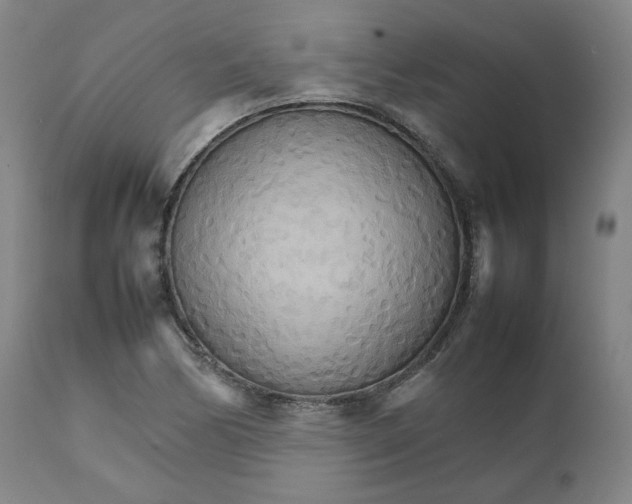 X0000111231170200907231457