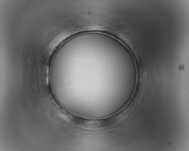 X0000111231171200907231457