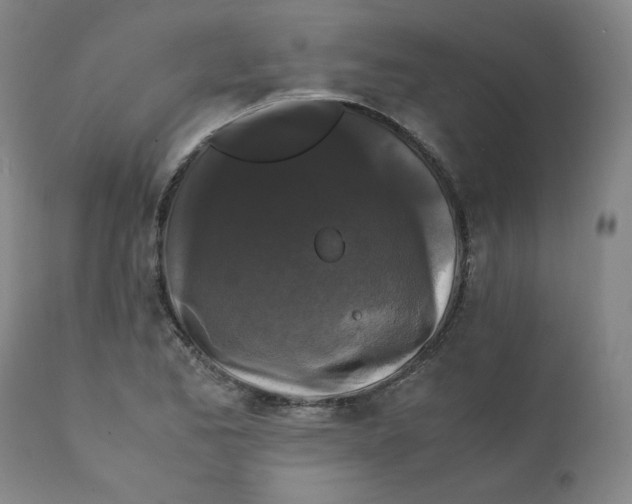 X0000111231173200907231457
