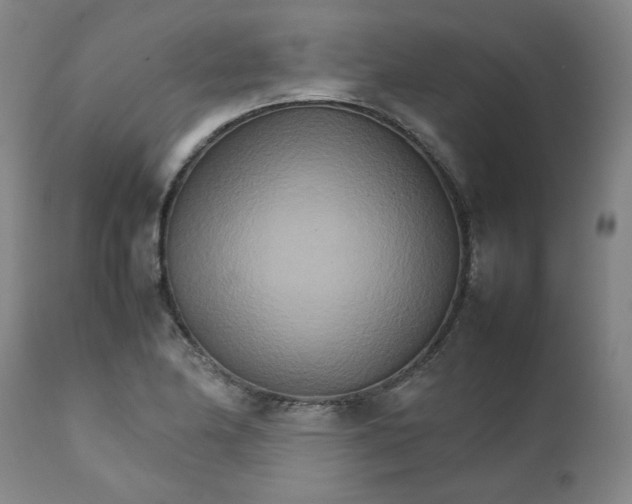 X0000111231174200907231457