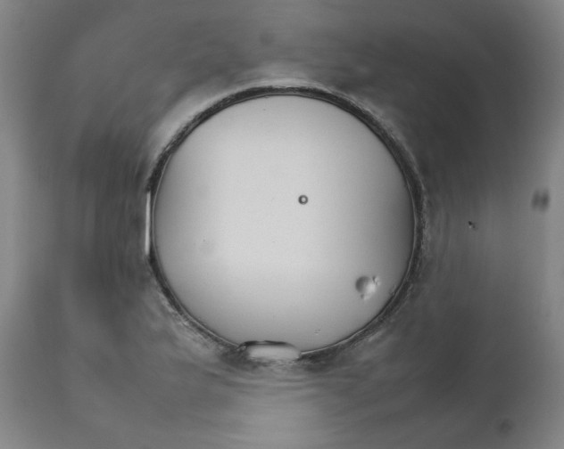 X0000111231175200907231457