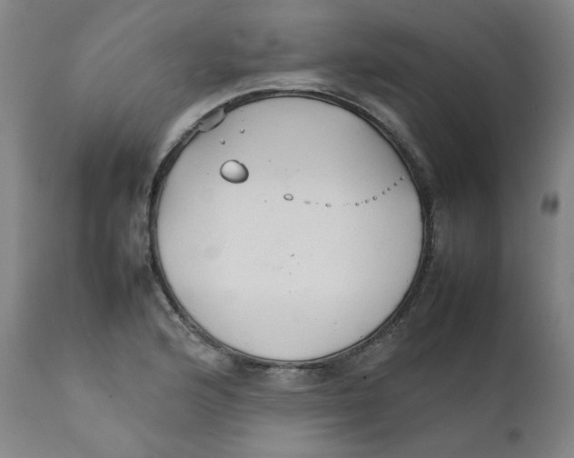 X0000111231176200907231457