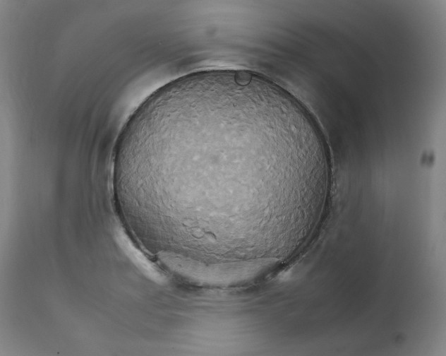 X0000111231179200907231457