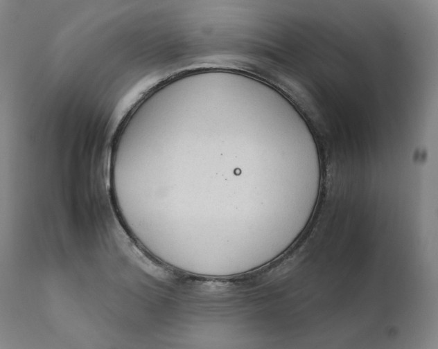 X0000111231180200907231457
