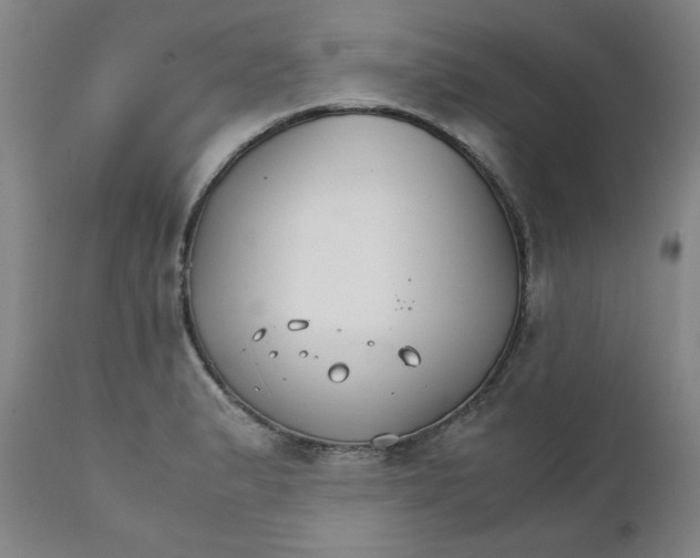 X0000111231183200907231457